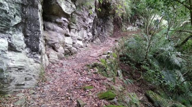 男子登山求助AI惨遭“鬼打墙” 回应让他傻眼