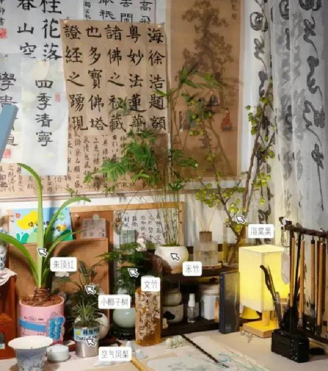 “阴花不能进阳宅”，这5种花不能放在家里